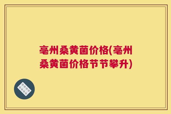 亳州桑黄菌价格(亳州桑黄菌价格节节攀升) 亳州桑黄菌价格(亳州桑黄菌价格节节攀升)