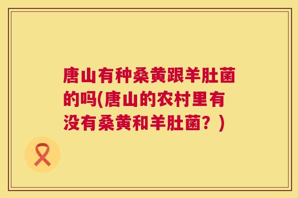 唐山有种桑黄跟羊肚菌的吗(唐山的农村里有没有桑黄和羊肚菌?) 唐山有种桑黄跟羊肚菌的吗(唐山的农村里有没有桑黄和羊肚菌?)