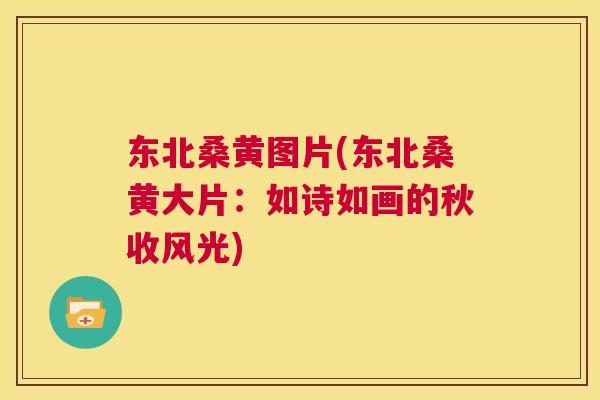 东北桑黄图片(东北桑黄大片:如诗如画的秋收风光) 东北桑黄图片(东北桑黄大片:如诗如画的秋收风光)