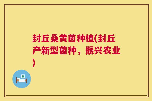 封丘桑黄菌种植(封丘产新型菌种，振兴农业)