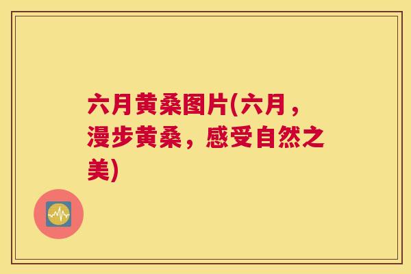 六月黄桑图片(六月,漫步黄桑,感受自然之美) 六月黄桑图片(六月,漫步黄桑,感受自然之美)