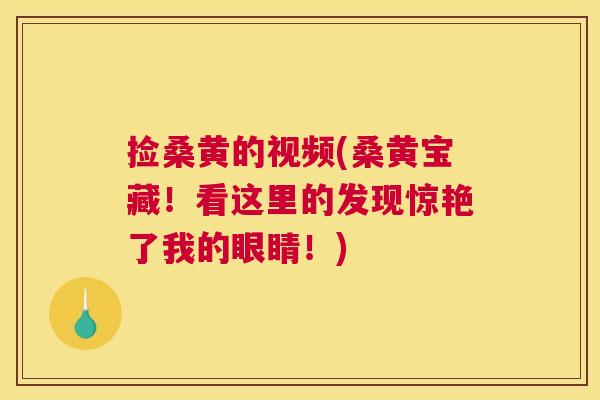 捡桑黄的视频(桑黄宝藏!看这里的发现惊艳了我的眼睛!) 捡桑黄的视频(桑黄宝藏!看这里的发现惊艳了我的眼睛!)