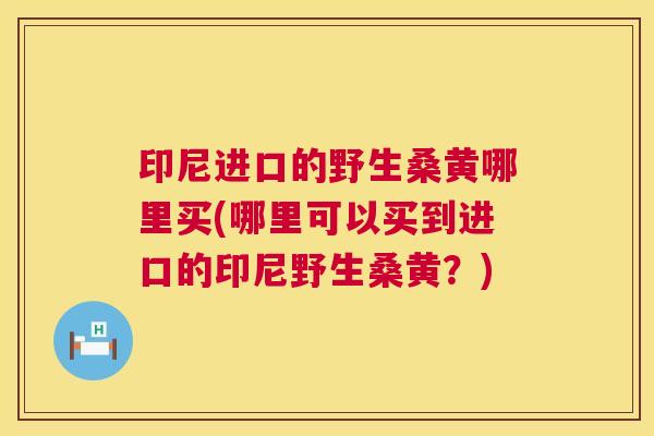 印尼进口的野生桑黄哪里买(哪里可以买到进口的印尼野生桑黄?) 印尼进口的野生桑黄哪里买(哪里可以买到进口的印尼野生桑黄?)