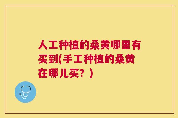 人工种植的桑黄哪里有买到(手工种植的桑黄在哪儿买?) 人工种植的桑黄哪里有买到(手工种植的桑黄在哪儿买?)