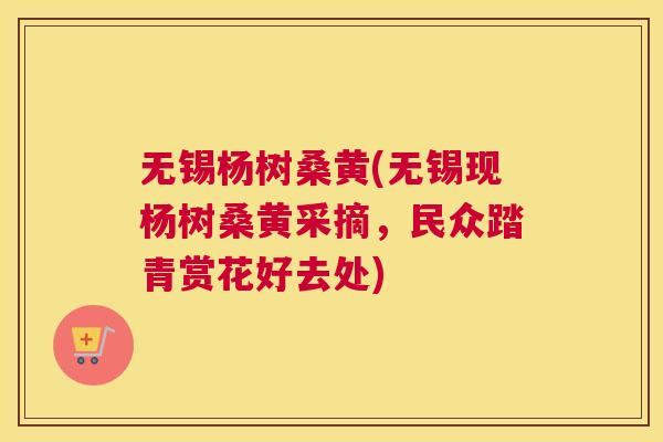 无锡杨树桑黄(无锡现杨树桑黄采摘,民众踏青赏花好去处) 无锡杨树桑黄(无锡现杨树桑黄采摘,民众踏青赏花好去处)