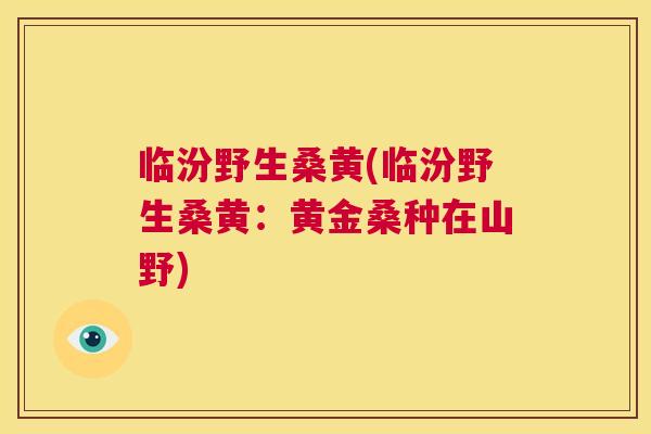 临汾野生桑黄(临汾野生桑黄:黄金桑种在山野) 临汾野生桑黄(临汾野生桑黄:黄金桑种在山野)