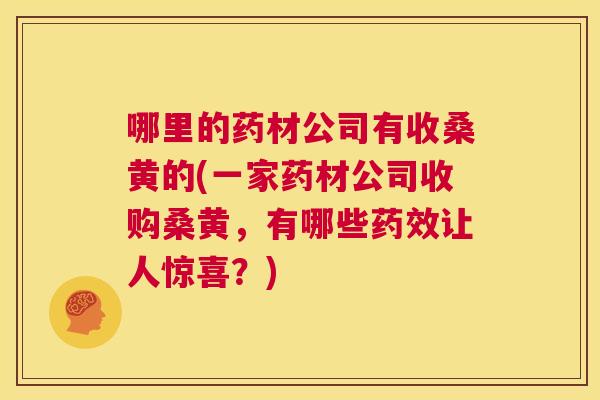 哪里的药材公司有收桑黄的(一家药材公司收购桑黄，有哪些让人惊喜？)