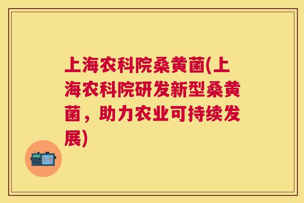 上海农科院桑黄菌(上海农科院研发新型桑黄菌,助力农业可持续发展) 上海农科院桑黄菌(上海农科院研发新型桑黄菌,助力农业可持续发展)
