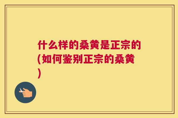 什么样的桑黄是正宗的(如何鉴别正宗的桑黄) 什么样的桑黄是正宗的(如何鉴别正宗的桑黄)