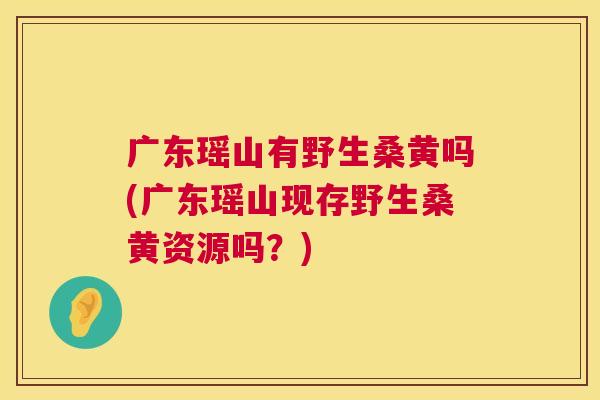 广东瑶山有野生桑黄吗(广东瑶山现存野生桑黄资源吗?) 广东瑶山有野生桑黄吗(广东瑶山现存野生桑黄资源吗?)