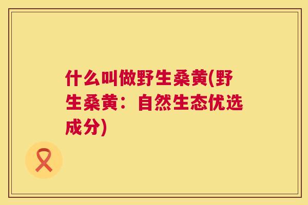 什么叫做野生桑黄(野生桑黄:自然生态优选成分) 什么叫做野生桑黄(野生桑黄:自然生态优选成分)