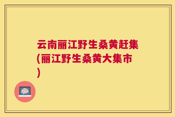 云南丽江野生桑黄赶集(丽江野生桑黄大集市) 云南丽江野生桑黄赶集(丽江野生桑黄大集市)
