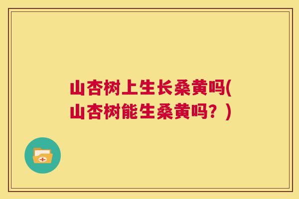 山杏树上生长桑黄吗(山杏树能生桑黄吗？)