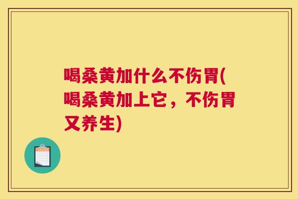 喝桑黄加什么不伤胃(喝桑黄加上它,不伤胃又养生) 喝桑黄加什么不伤胃(喝桑黄加上它,不伤胃又养生)