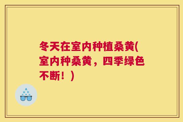 冬天在室内种植桑黄(室内种桑黄,四季绿色不断!) 冬天在室内种植桑黄(室内种桑黄,四季绿色不断!)