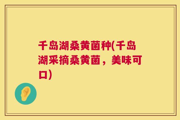 千岛湖桑黄菌种(千岛湖采摘桑黄菌,美味可口) 千岛湖桑黄菌种(千岛湖采摘桑黄菌,美味可口)
