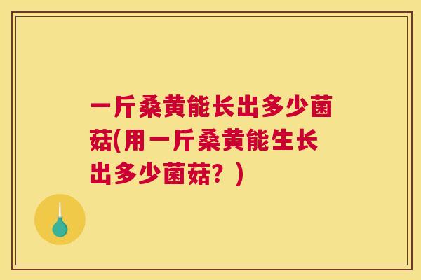一斤桑黄能长出多少菌菇(用一斤桑黄能生长出多少菌菇?) 一斤桑黄能长出多少菌菇(用一斤桑黄能生长出多少菌菇?)