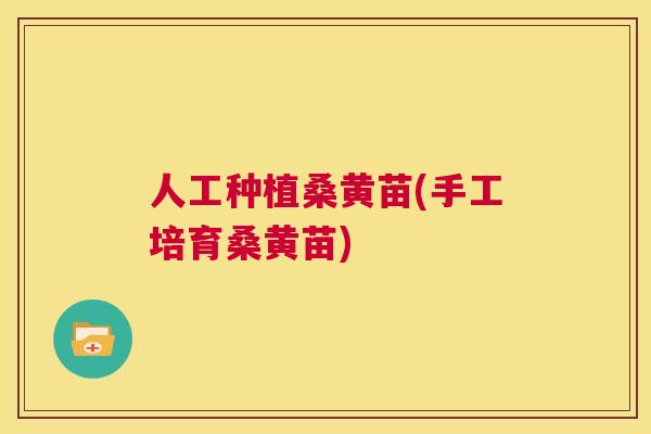 人工种植桑黄苗(手工培育桑黄苗) 人工种植桑黄苗(手工培育桑黄苗)