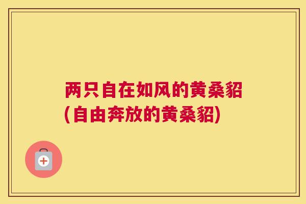 两只自在如风的黄桑貂(自由奔放的黄桑貂) 两只自在如风的黄桑貂(自由奔放的黄桑貂)