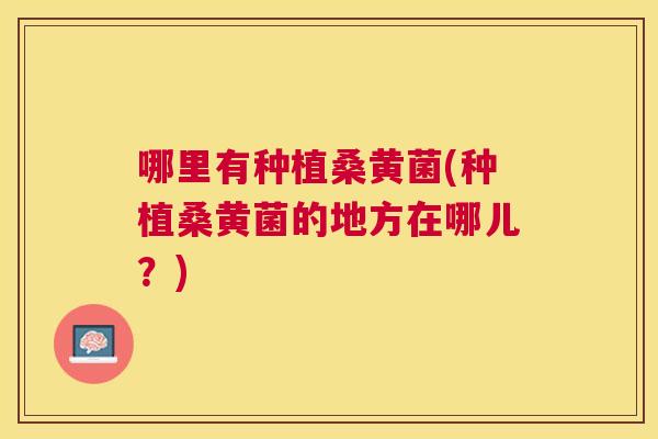 哪里有种植桑黄菌(种植桑黄菌的地方在哪儿?) 哪里有种植桑黄菌(种植桑黄菌的地方在哪儿?)