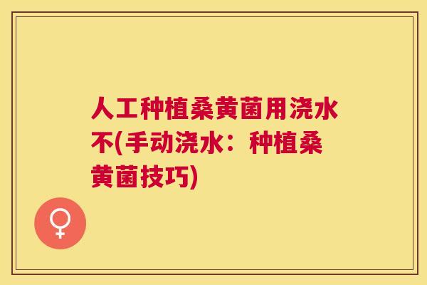 人工种植桑黄菌用浇水不(手动浇水:种植桑黄菌技巧) 人工种植桑黄菌用浇水不(手动浇水:种植桑黄菌技巧)