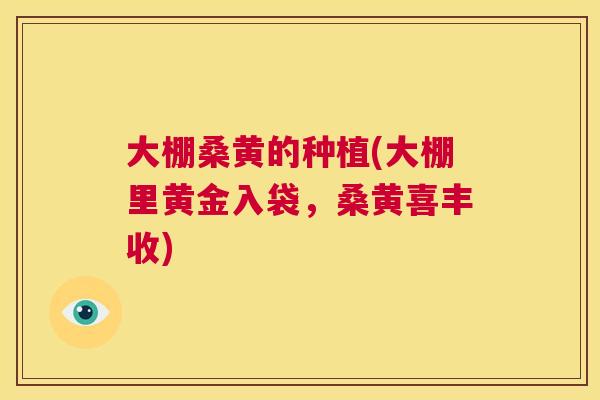 大棚桑黄的种植(大棚里黄金入袋,桑黄喜丰收) 大棚桑黄的种植(大棚里黄金入袋,桑黄喜丰收)