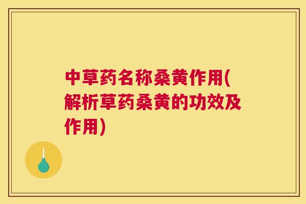 中草药名称桑黄作用(解析草药桑黄的功效及作用) 中草药名称桑黄作用(解析草药桑黄的功效及作用)