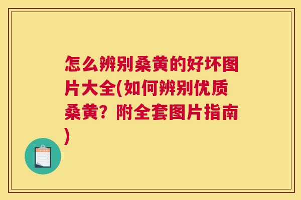 怎么辨别桑黄的好坏图片大全(如何辨别优质桑黄?附全套图片指南) 怎么辨别桑黄的好坏图片大全(如何辨别优质桑黄?附全套图片指南)