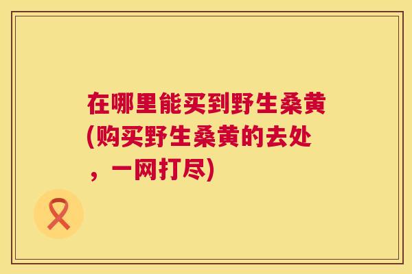 在哪里能买到野生桑黄(购买野生桑黄的去处,一网打尽) 在哪里能买到野生桑黄(购买野生桑黄的去处,一网打尽)