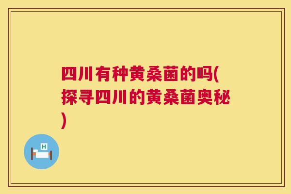 四川有种黄桑菌的吗(探寻四川的黄桑菌奥秘) 四川有种黄桑菌的吗(探寻四川的黄桑菌奥秘)
