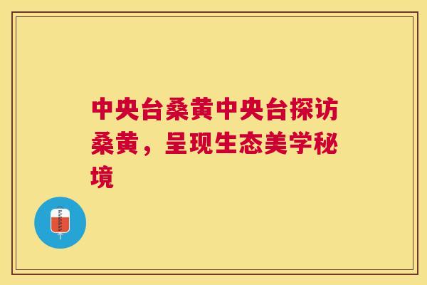 中央台桑黄中央台探访桑黄,呈现生态美学秘境 中央台桑黄中央台探访桑黄,呈现生态美学秘境