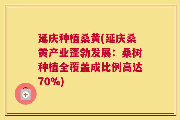 延庆种植桑黄(延庆桑黄产业蓬勃发展:桑树种植全覆盖成比例高达70%) 延庆种植桑黄(延庆桑黄产业蓬勃发展:桑树种植全覆盖成比例高达70%)