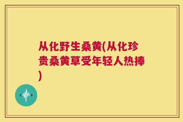 从化野生桑黄(从化珍贵桑黄草受年轻人热捧) 从化野生桑黄(从化珍贵桑黄草受年轻人热捧)