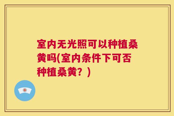 室内无光照可以种植桑黄吗(室内条件下可否种植桑黄?) 室内无光照可以种植桑黄吗(室内条件下可否种植桑黄?)