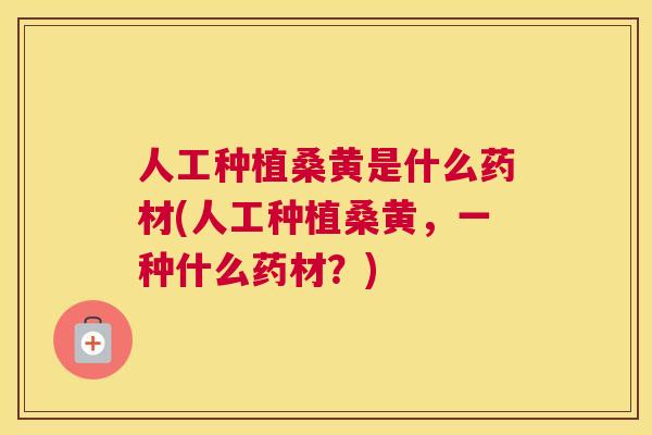 人工种植桑黄是什么药材(人工种植桑黄,一种什么药材?) 人工种植桑黄是什么药材(人工种植桑黄,一种什么药材?)