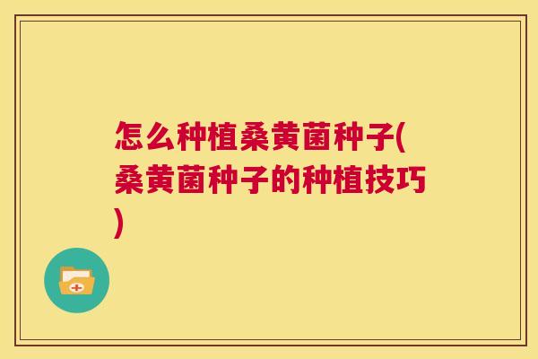 怎么种植桑黄菌种子(桑黄菌种子的种植技巧) 怎么种植桑黄菌种子(桑黄菌种子的种植技巧)