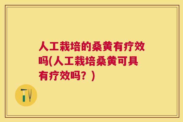 人工栽培的桑黄有疗效吗(人工栽培桑黄可具有疗效吗?) 人工栽培的桑黄有疗效吗(人工栽培桑黄可具有疗效吗?)
