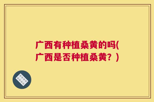 广西有种植桑黄的吗(广西是否种植桑黄?) 广西有种植桑黄的吗(广西是否种植桑黄?)