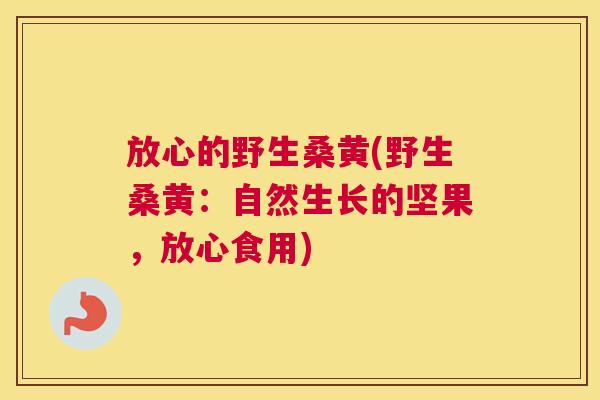 放心的野生桑黄(野生桑黄:自然生长的坚果,放心食用) 放心的野生桑黄(野生桑黄:自然生长的坚果,放心食用)