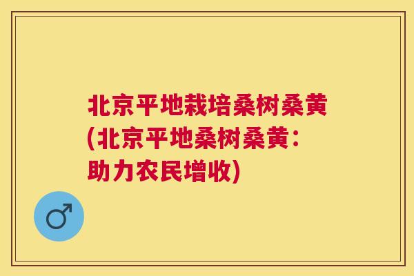 北京平地栽培桑树桑黄(北京平地桑树桑黄:助力农民增收) 北京平地栽培桑树桑黄(北京平地桑树桑黄:助力农民增收)