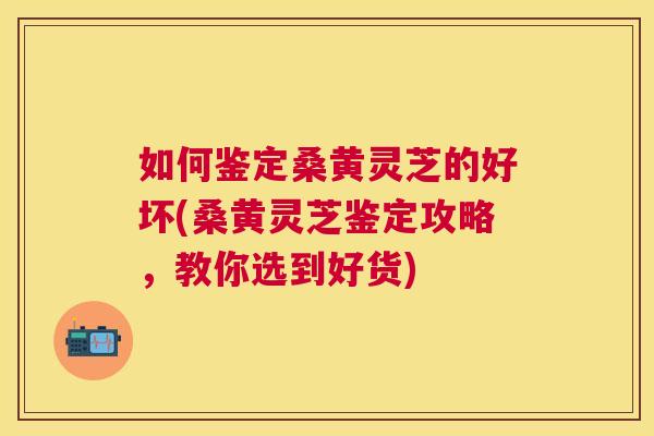 如何鉴定桑黄灵芝的好坏(桑黄灵芝鉴定攻略,教你选到好货) 如何鉴定桑黄灵芝的好坏(桑黄灵芝鉴定攻略,教你选到好货)