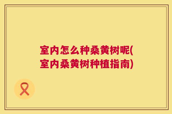 室内怎么种桑黄树呢(室内桑黄树种植指南) 室内怎么种桑黄树呢(室内桑黄树种植指南)