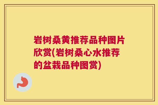 岩树桑黄推荐品种图片欣赏(岩树桑心水推荐的盆栽品种图赏) 岩树桑黄推荐品种图片欣赏(岩树桑心水推荐的盆栽品种图赏)