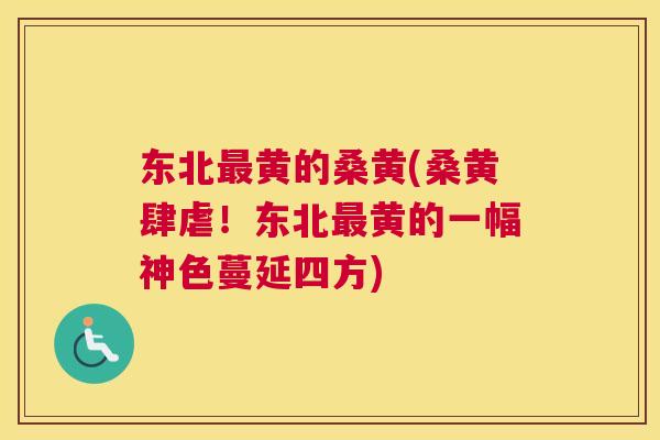 东北黄的桑黄(桑黄肆虐!东北黄的一幅神色蔓延四方) 东北黄的桑黄(桑黄肆虐!东北黄的一幅神色蔓延四方)