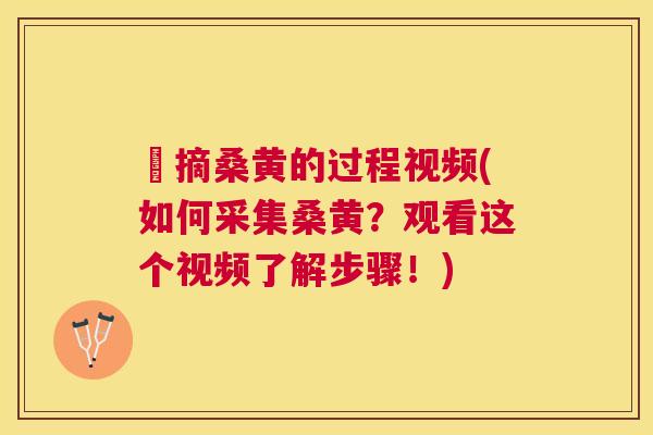 採摘桑黄的过程视频(如何采集桑黄?观看这个视频了解步骤!) 採摘桑黄的过程视频(如何采集桑黄?观看这个视频了解步骤!)