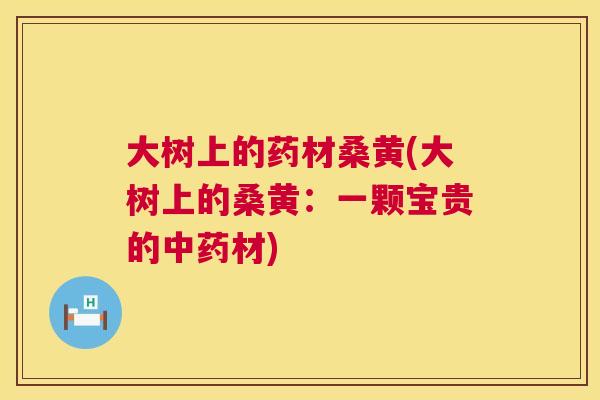 大树上的药材桑黄(大树上的桑黄:一颗宝贵的材) 大树上的药材桑黄(大树上的桑黄:一颗宝贵的材)