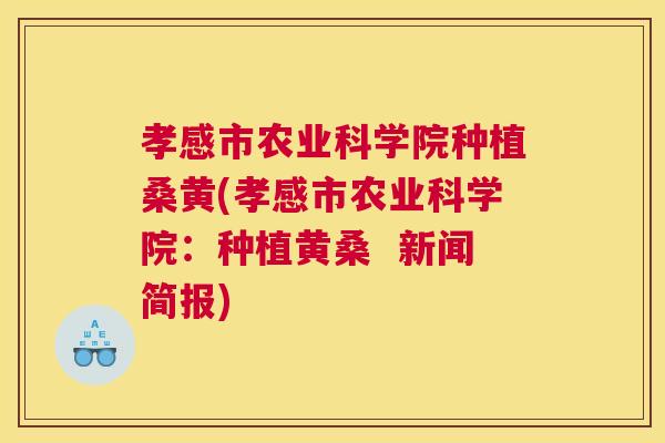 孝感市农业科学院种植桑黄(孝感市农业科学院:种植黄桑 新闻简报) 孝感市农业科学院种植桑黄(孝感市农业科学院:种植黄桑 新闻简报)