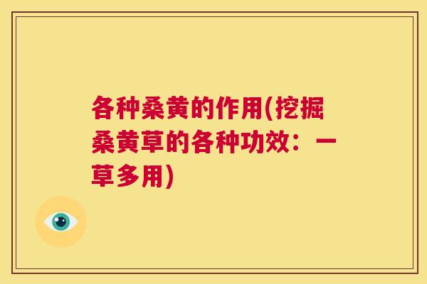 各种桑黄的作用(挖掘桑黄草的各种功效:一草多用) 各种桑黄的作用(挖掘桑黄草的各种功效:一草多用)
