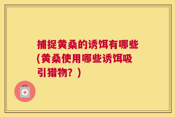 捕捉黄桑的诱饵有哪些(黄桑使用哪些诱饵吸引猎物?) 捕捉黄桑的诱饵有哪些(黄桑使用哪些诱饵吸引猎物?)