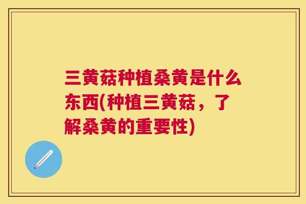 三黄菇种植桑黄是什么东西(种植三黄菇,了解桑黄的重要性) 三黄菇种植桑黄是什么东西(种植三黄菇,了解桑黄的重要性)